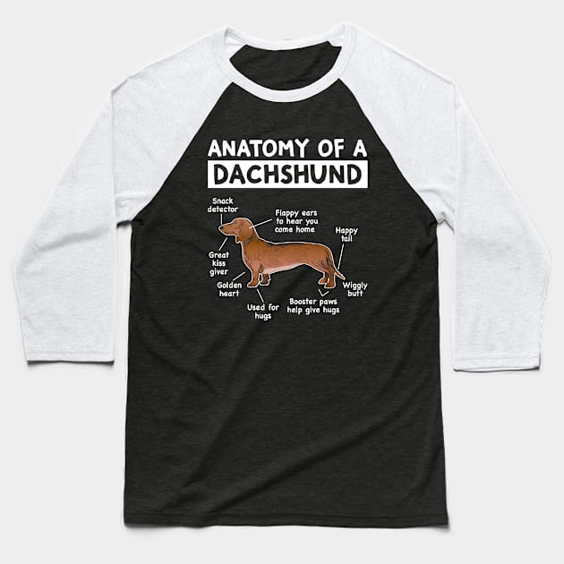 Funny Anatomy Dachshund Wiener Dog Cute Doxie Lover Baseball T-Shirt by Wakzs3Arts